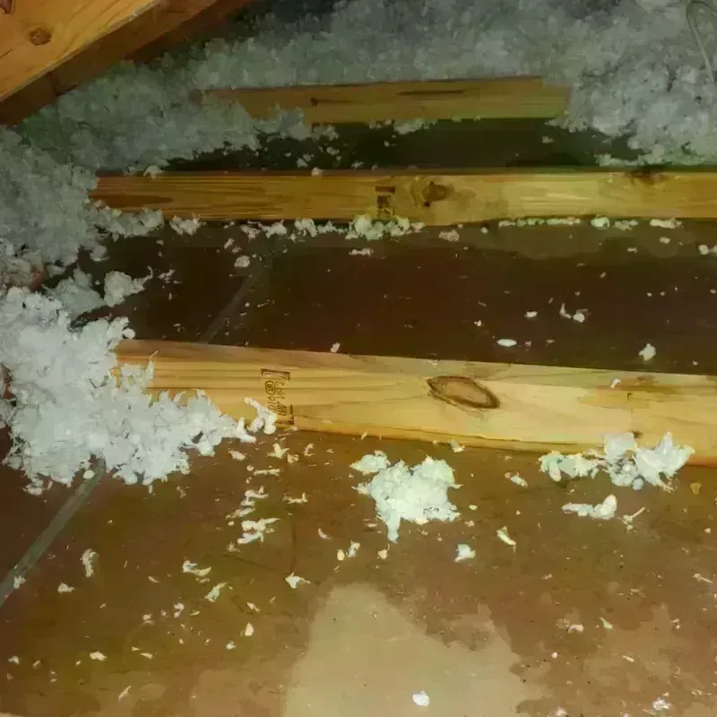 Attic Water Damage in Bowling Green, VA